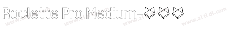 Roclette Pro Medium字体转换